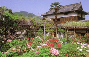 九度山町の真田庵風景